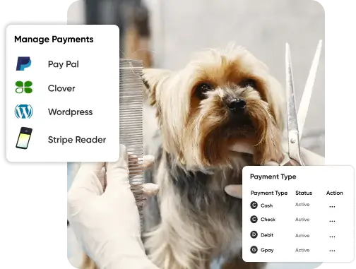 Best Payment Solutions for Pet Professionals
